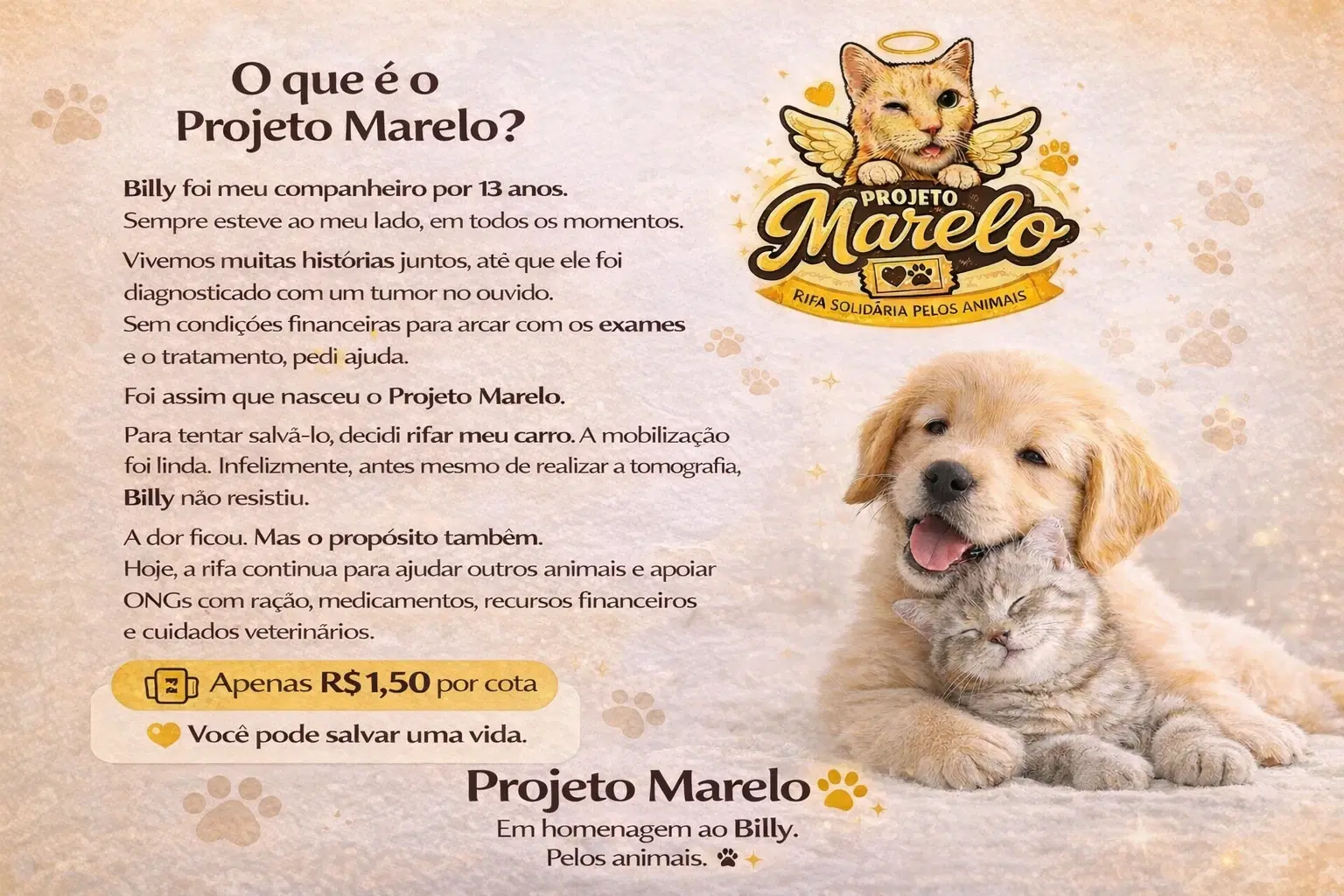2ª imagem da campanha