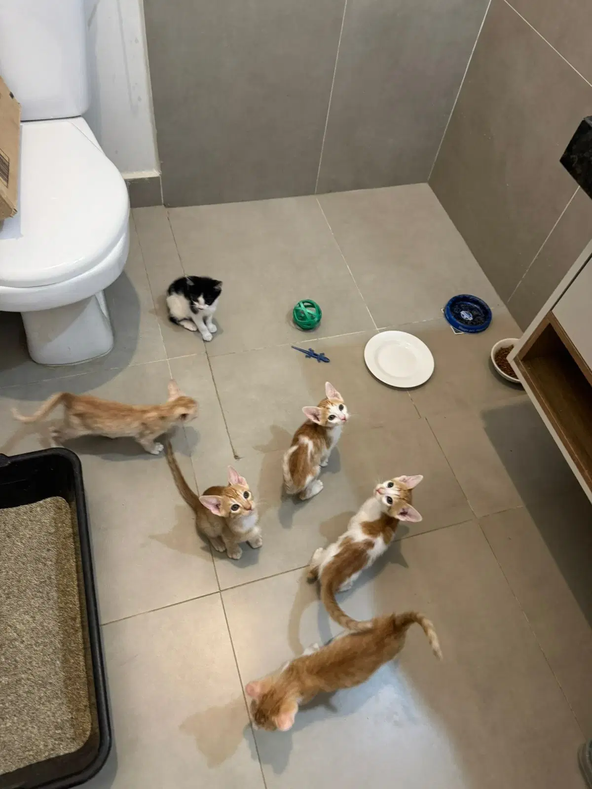 2ª imagem da campanha
