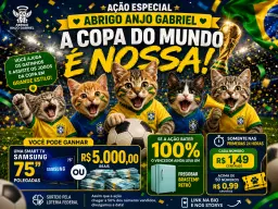 Ação Especial Abrigo Anjo Gabriel - A Copa do Mundo é nossa