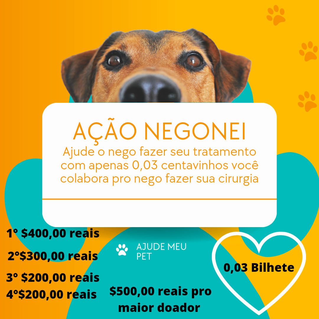 1ª imagem da campanha