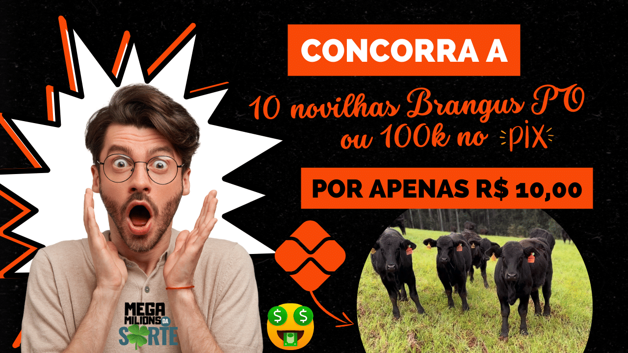 Mega Milions da Sorte