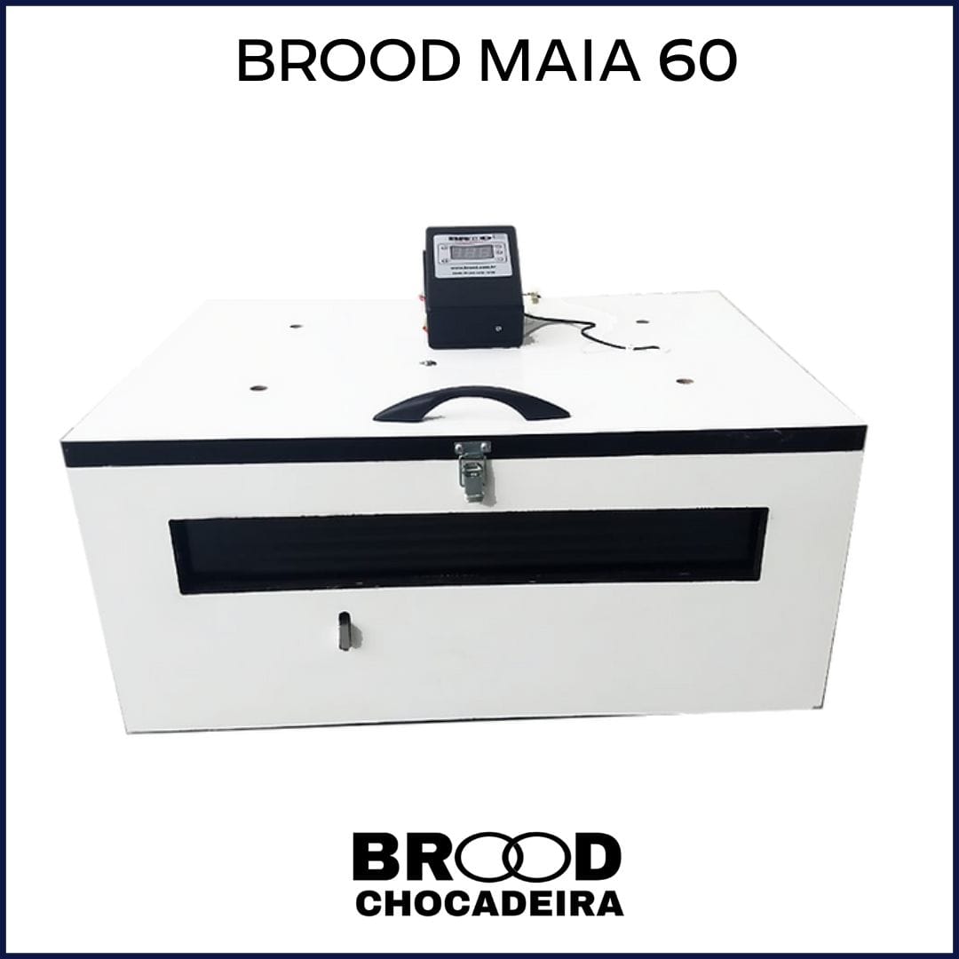 60ª Rifa do Criatório Neves - 5 Chocadeiras Brood Maia 60 ovos + 5dz Galinha Balão + 10 N-MAX