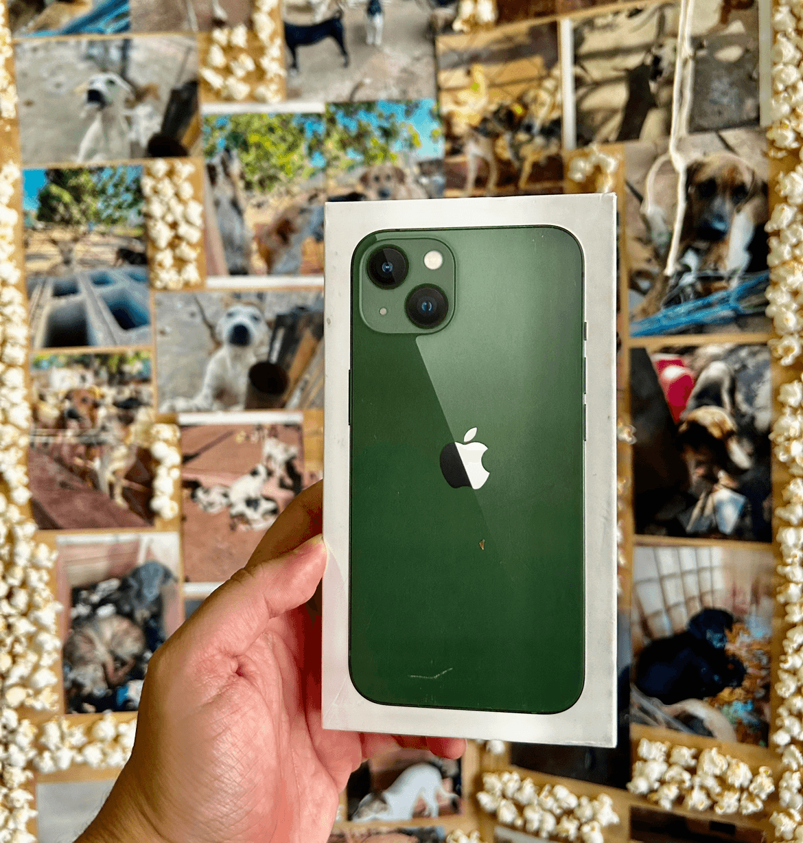 1ª imagem da campanha