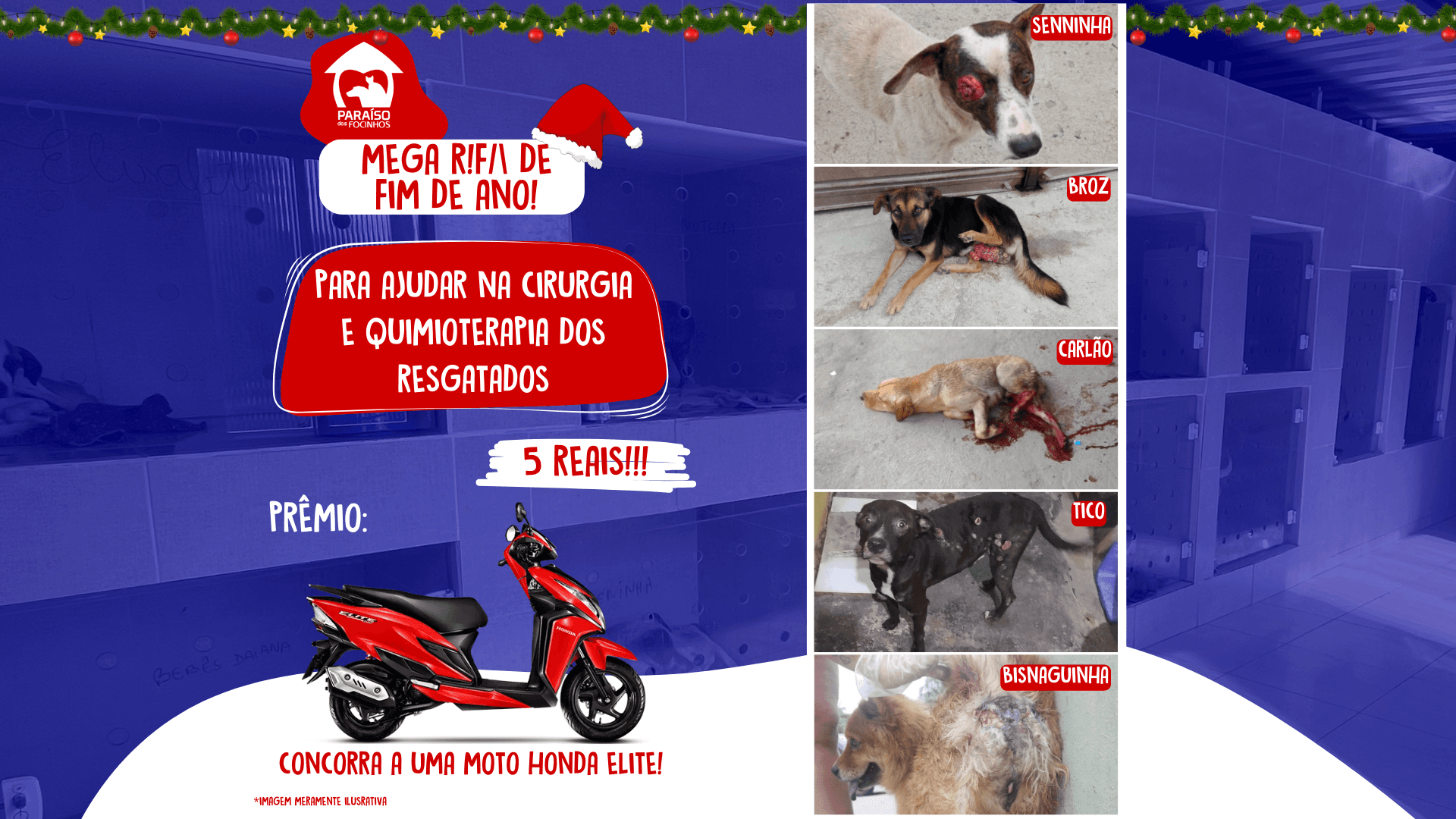 1ª imagem da campanha