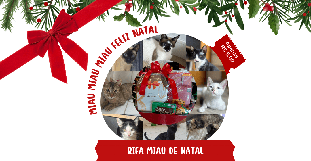 RIFA MIAU DE NATAL