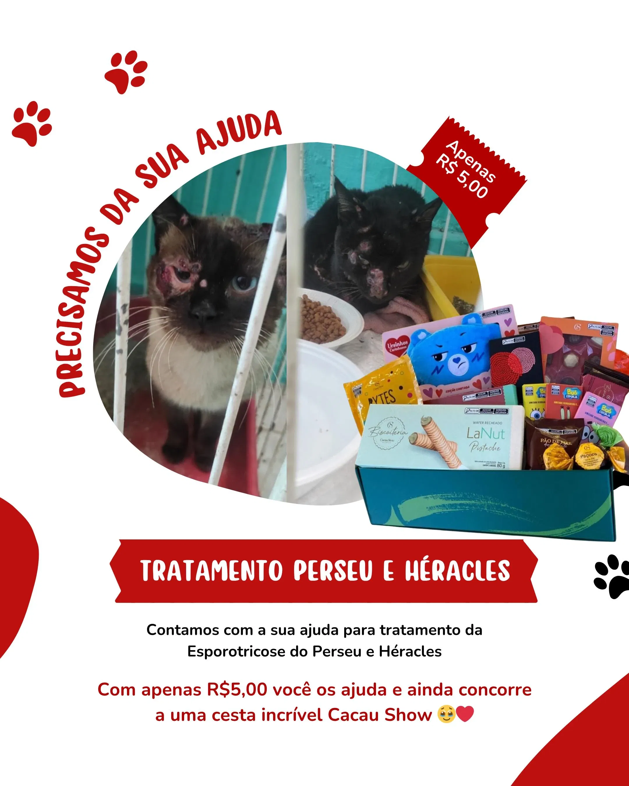 Tratamento Perseu e Héracles