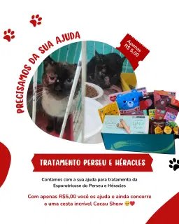 Tratamento Perseu e Héracles