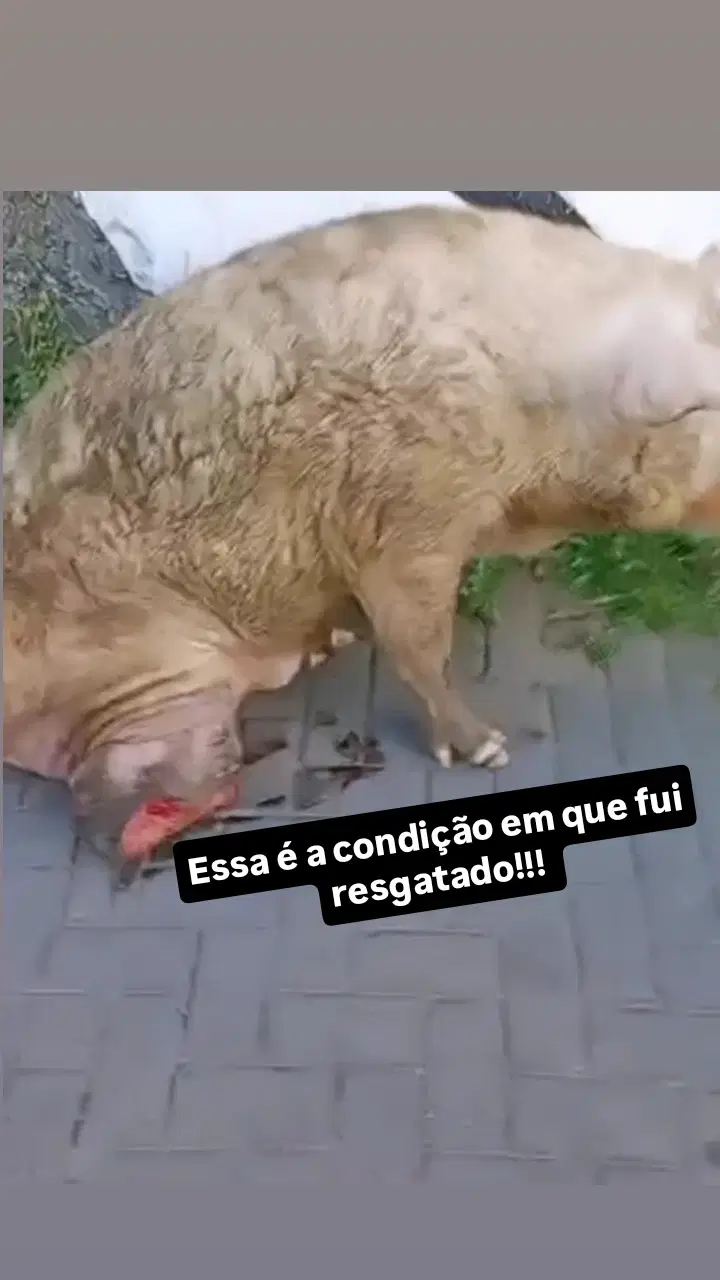 3ª imagem da campanha