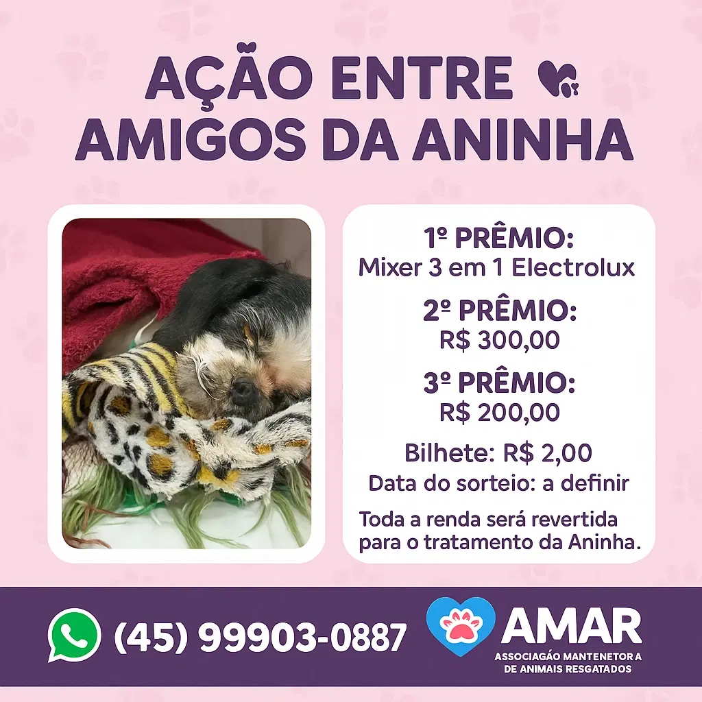 1ª imagem da campanha