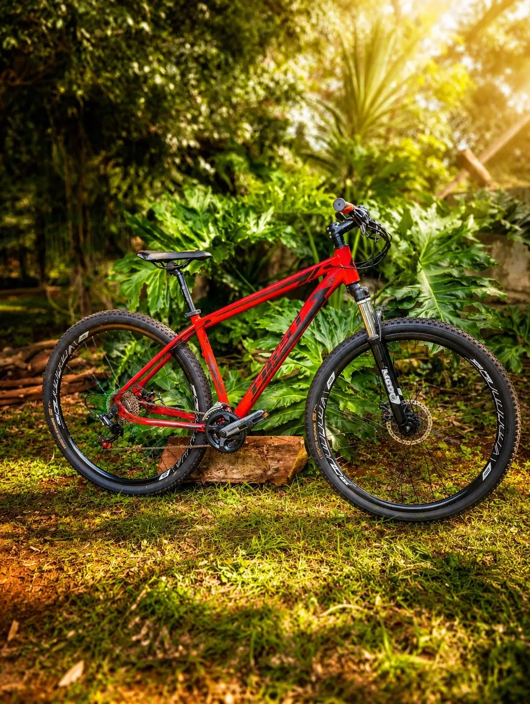 Ajude a Delai Cycling a participar do Campeonato Brasileiro de MTB