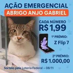 Campanha Emergencia Abrigo Anjo Gabriel