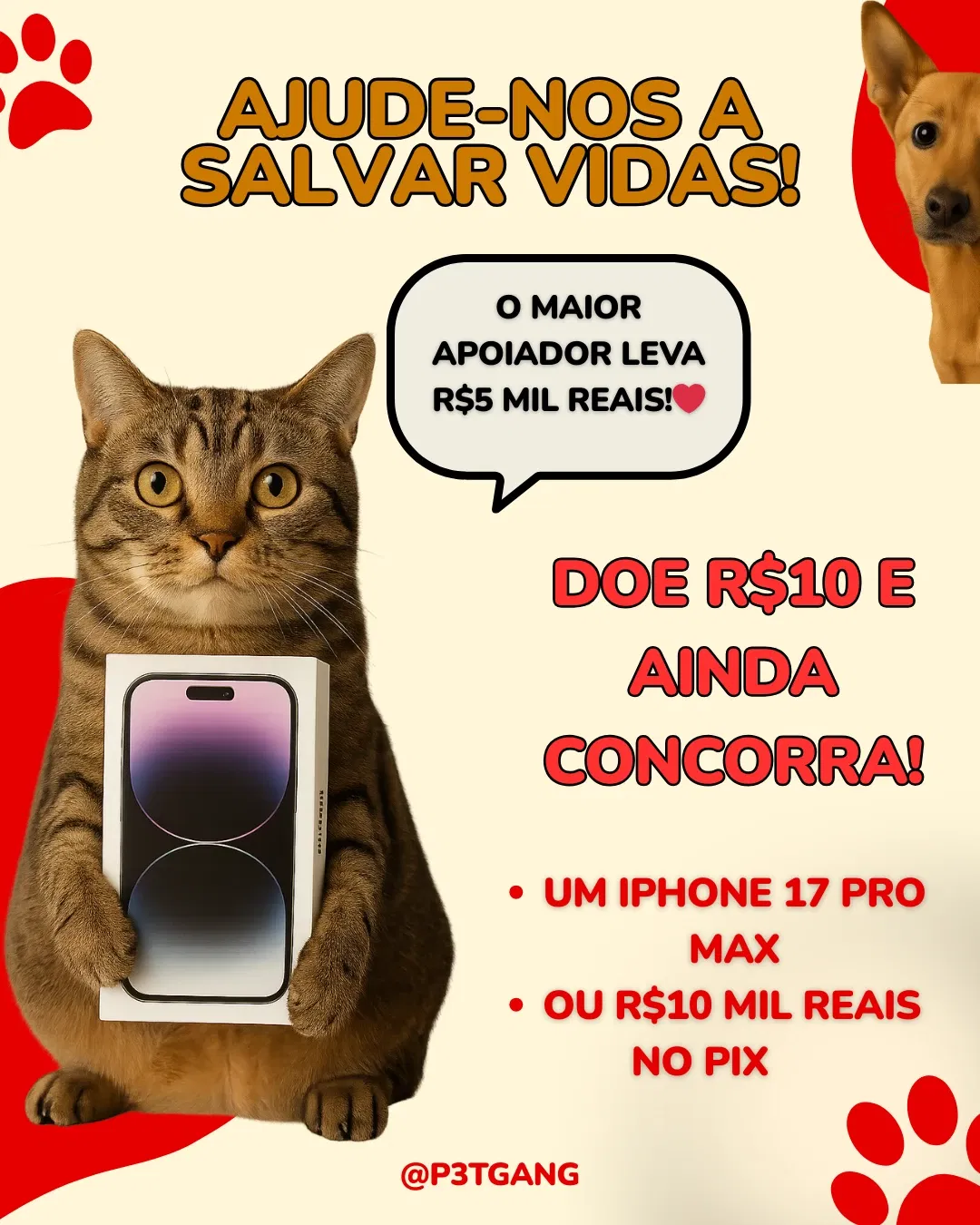 Campanha da P3TGANG