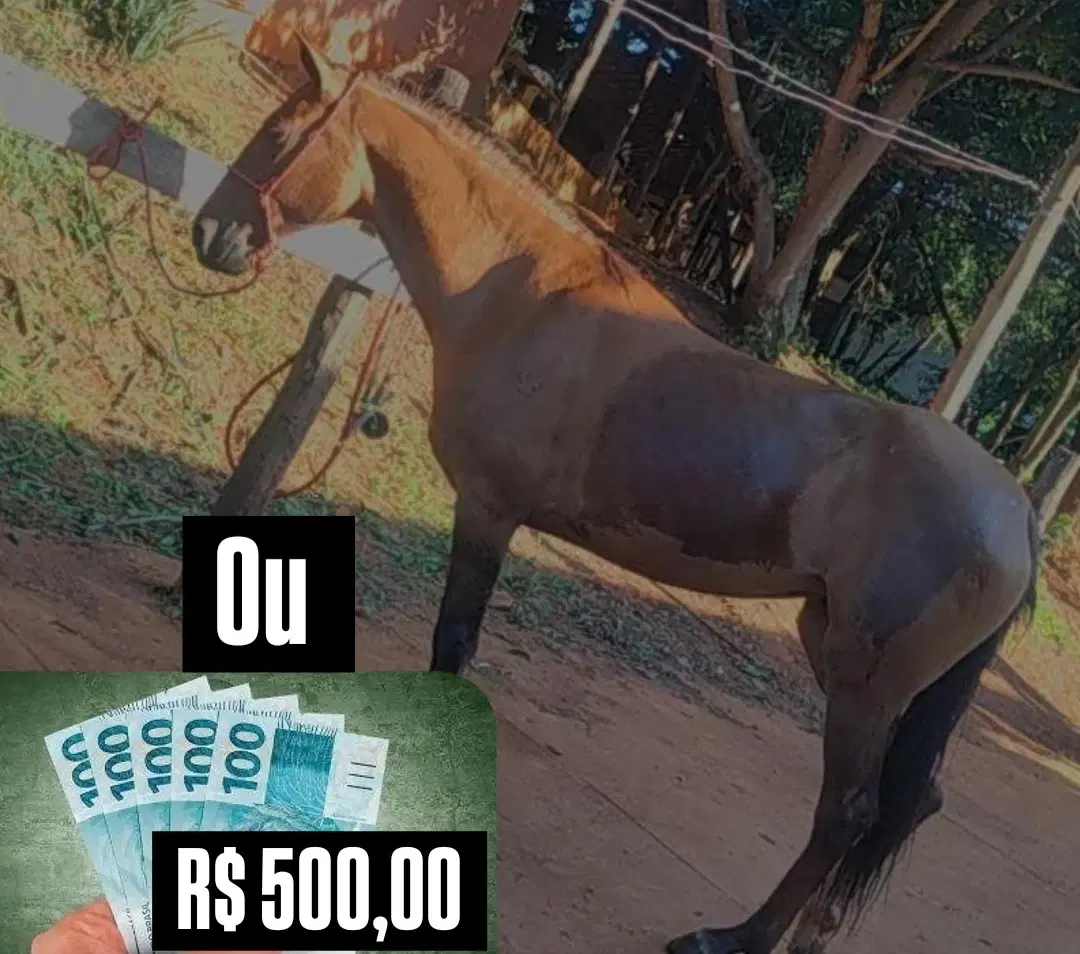 1ª imagem da campanha