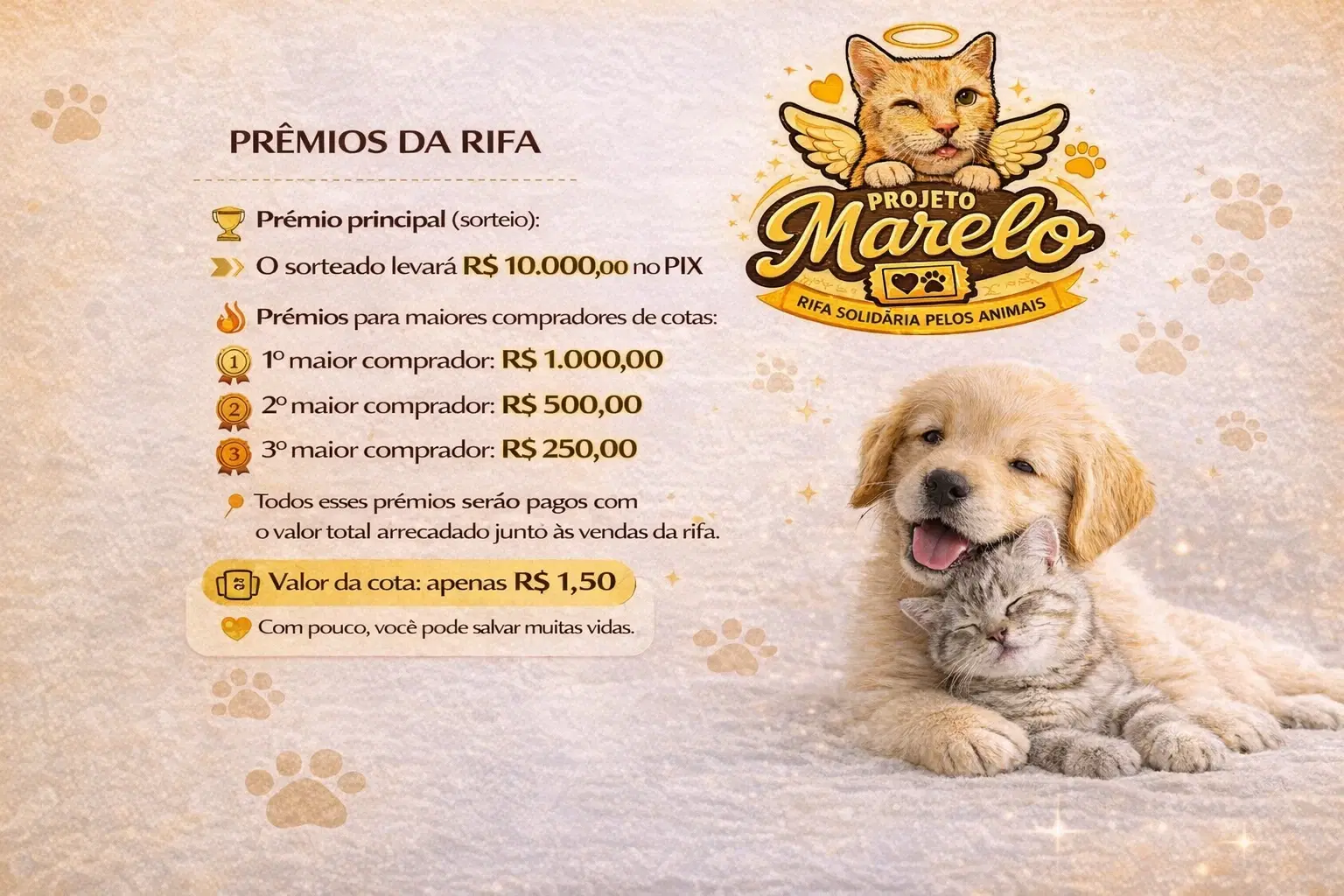 3ª imagem da campanha