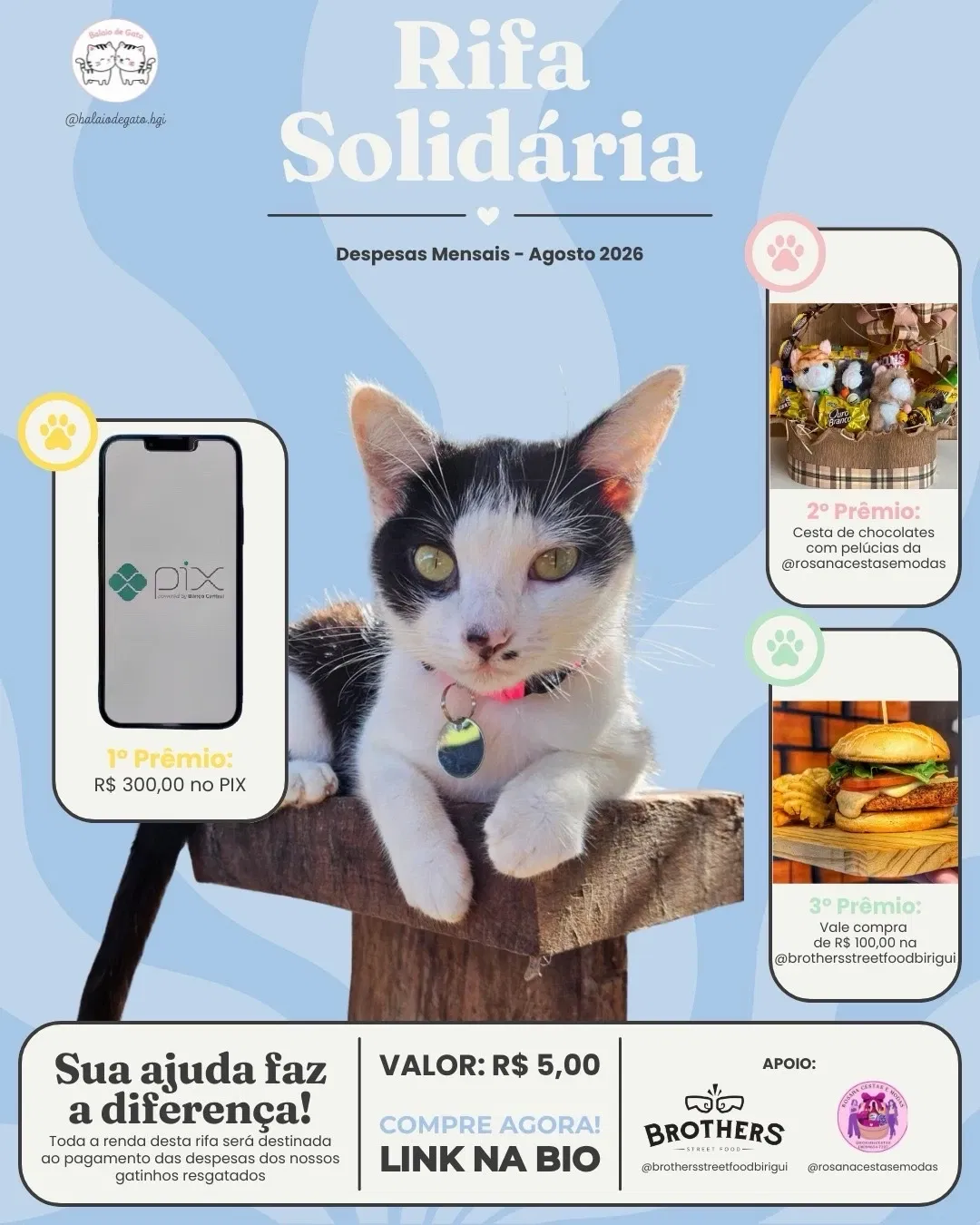Campanha de Agosto 2026