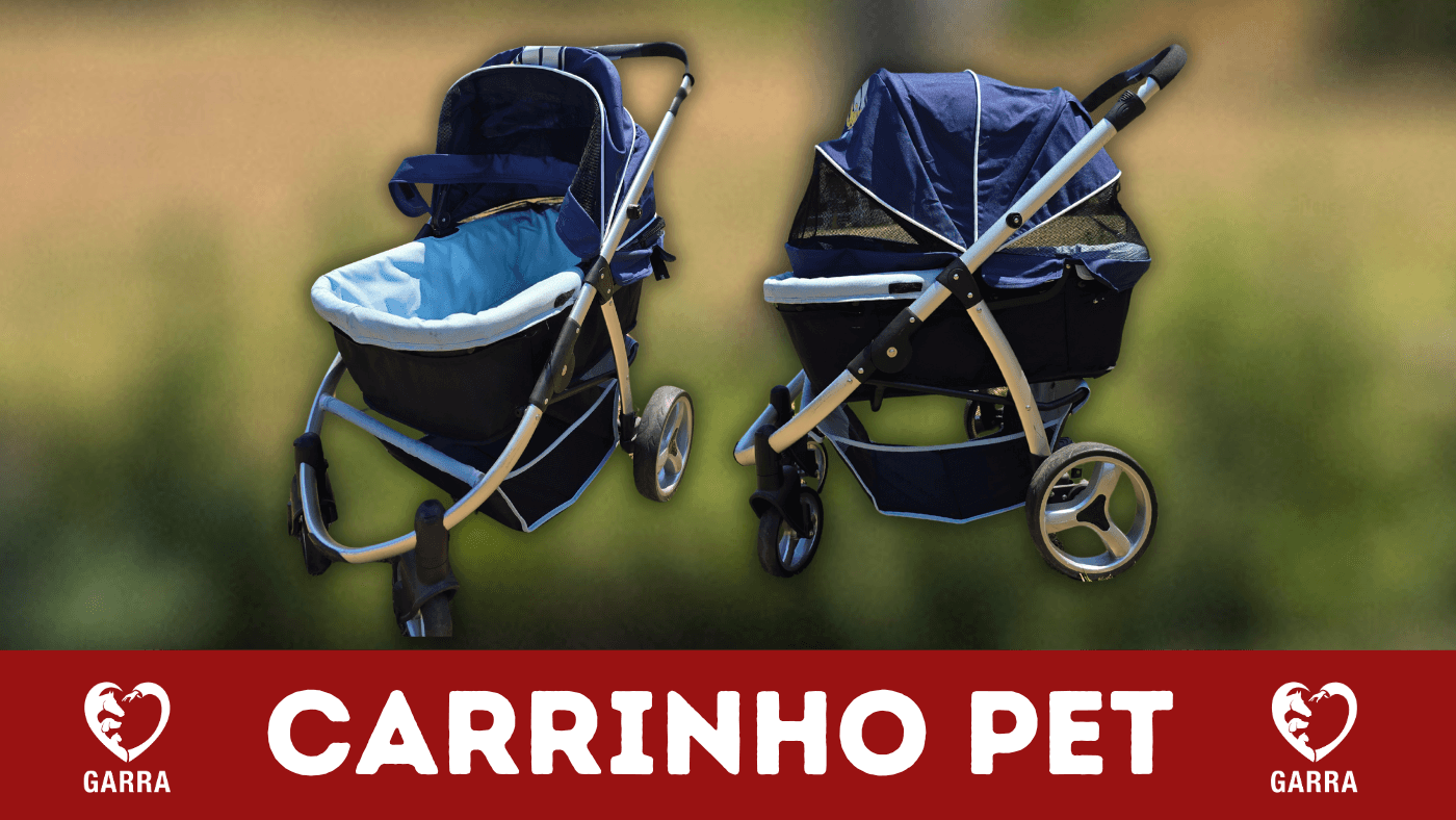 1ª imagem da campanha