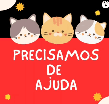 Ajude o Gatil Vida Nova