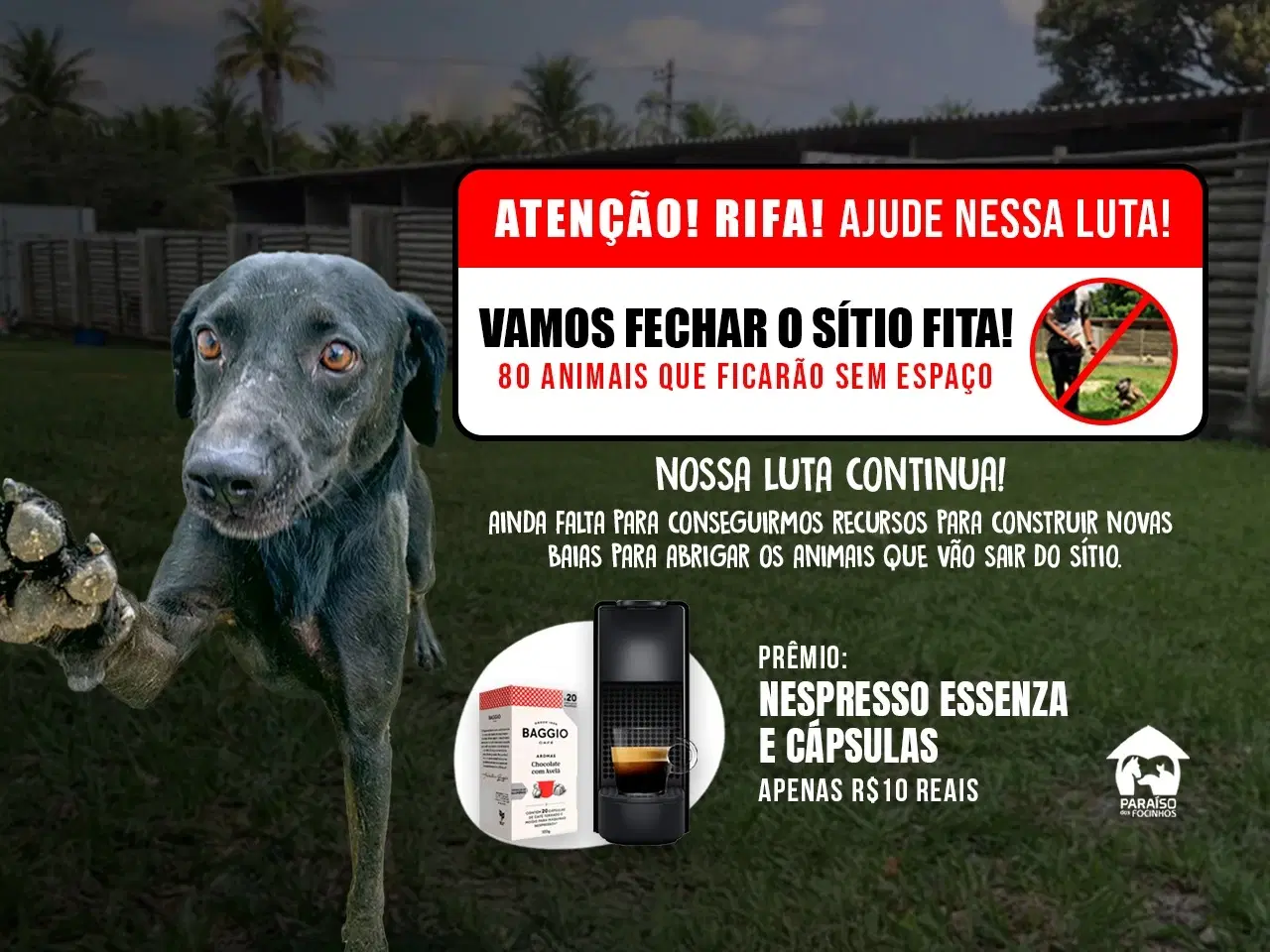 1ª imagem da campanha