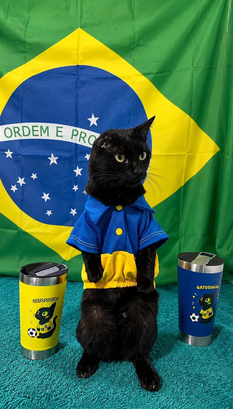 Copa do Bem: Seleção do Gatossauro 💚⚽