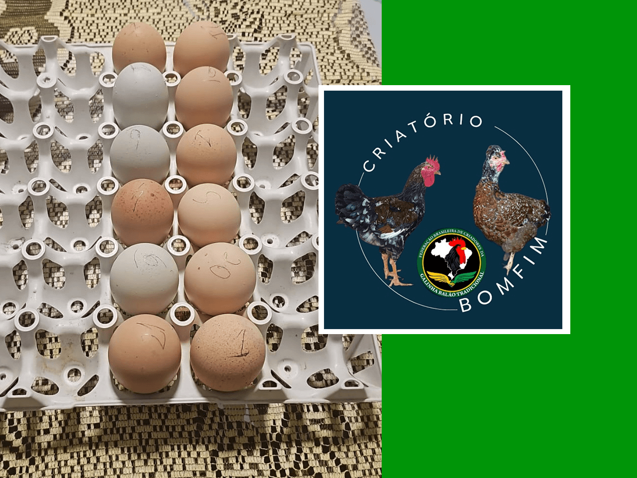 9ª imagem da campanha