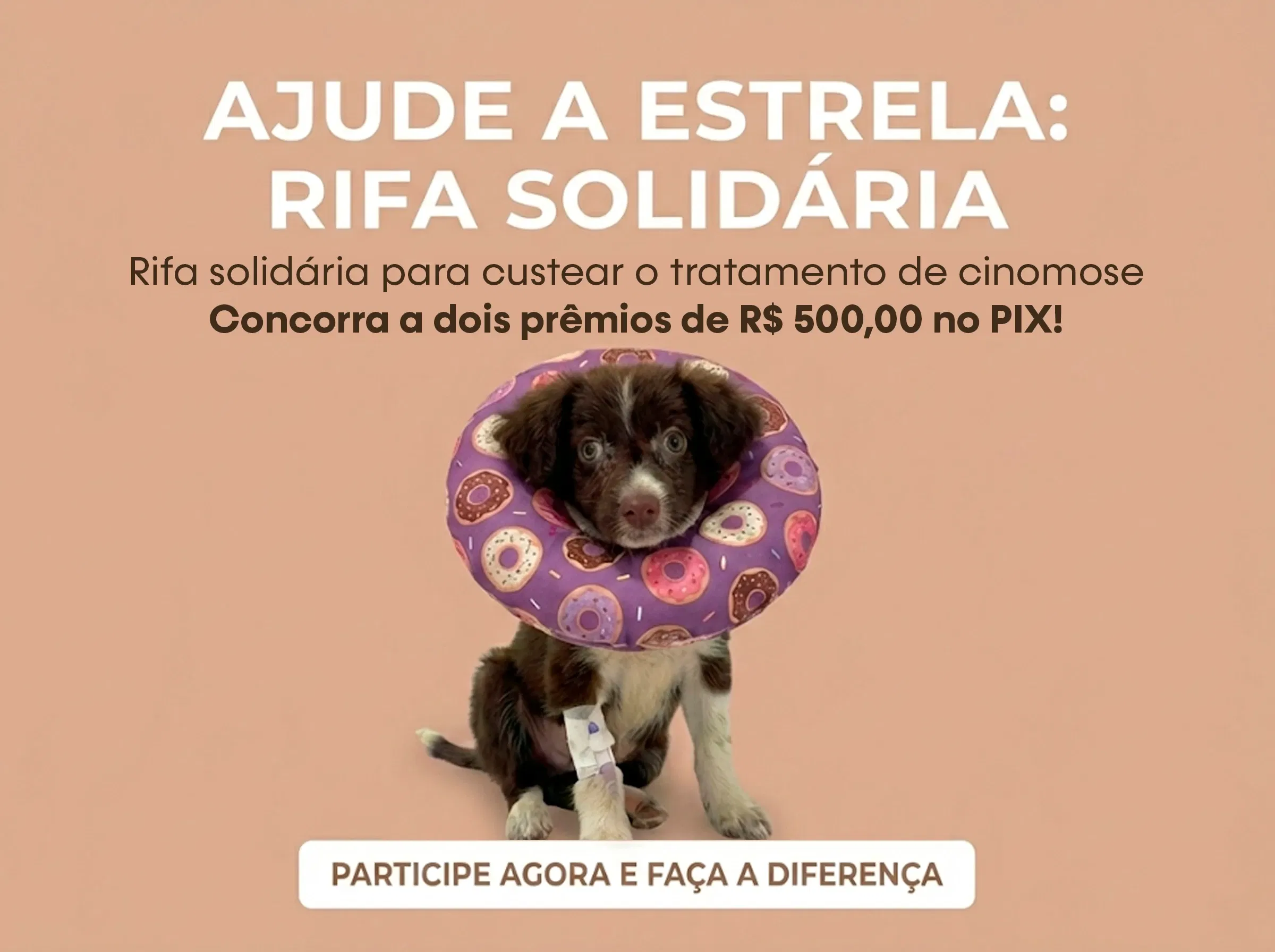 Ajude a Estrela a Vencer a Cinomose