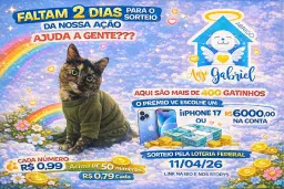Ação Emergencial de Março Abrigo Anjo Gabriel