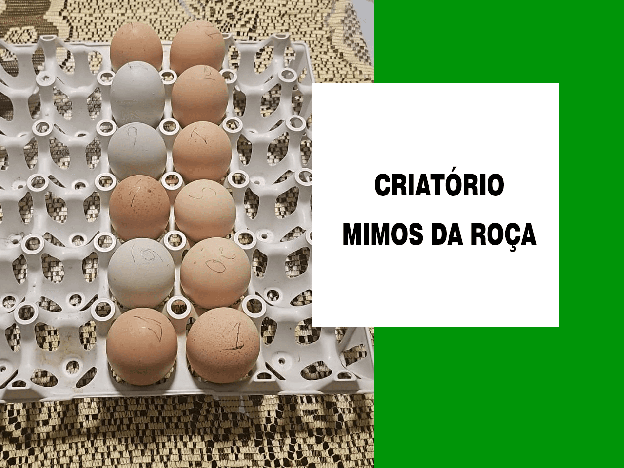 5ª imagem da campanha