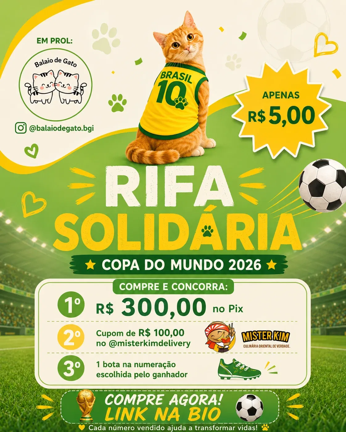 RIFA DA COPA DO BALAIO