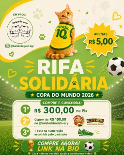 RIFA DA COPA DO BALAIO