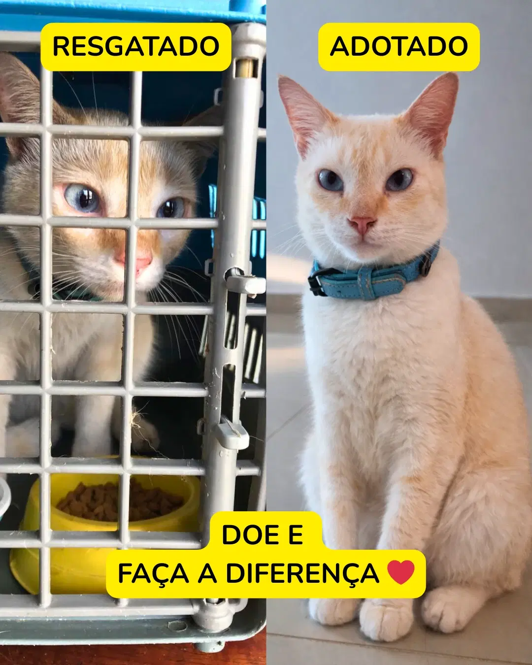 2ª imagem da campanha
