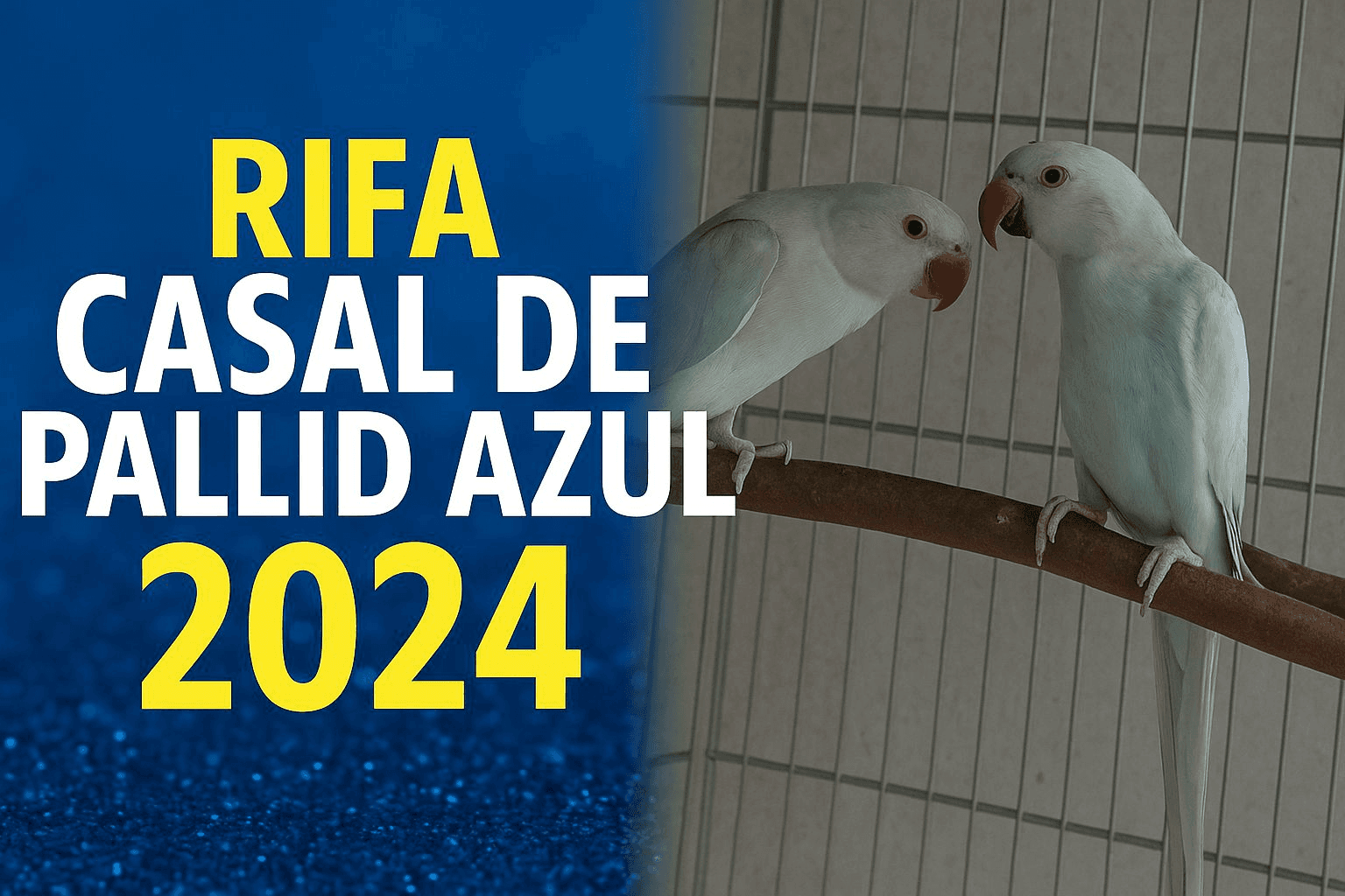 1ª imagem da campanha
