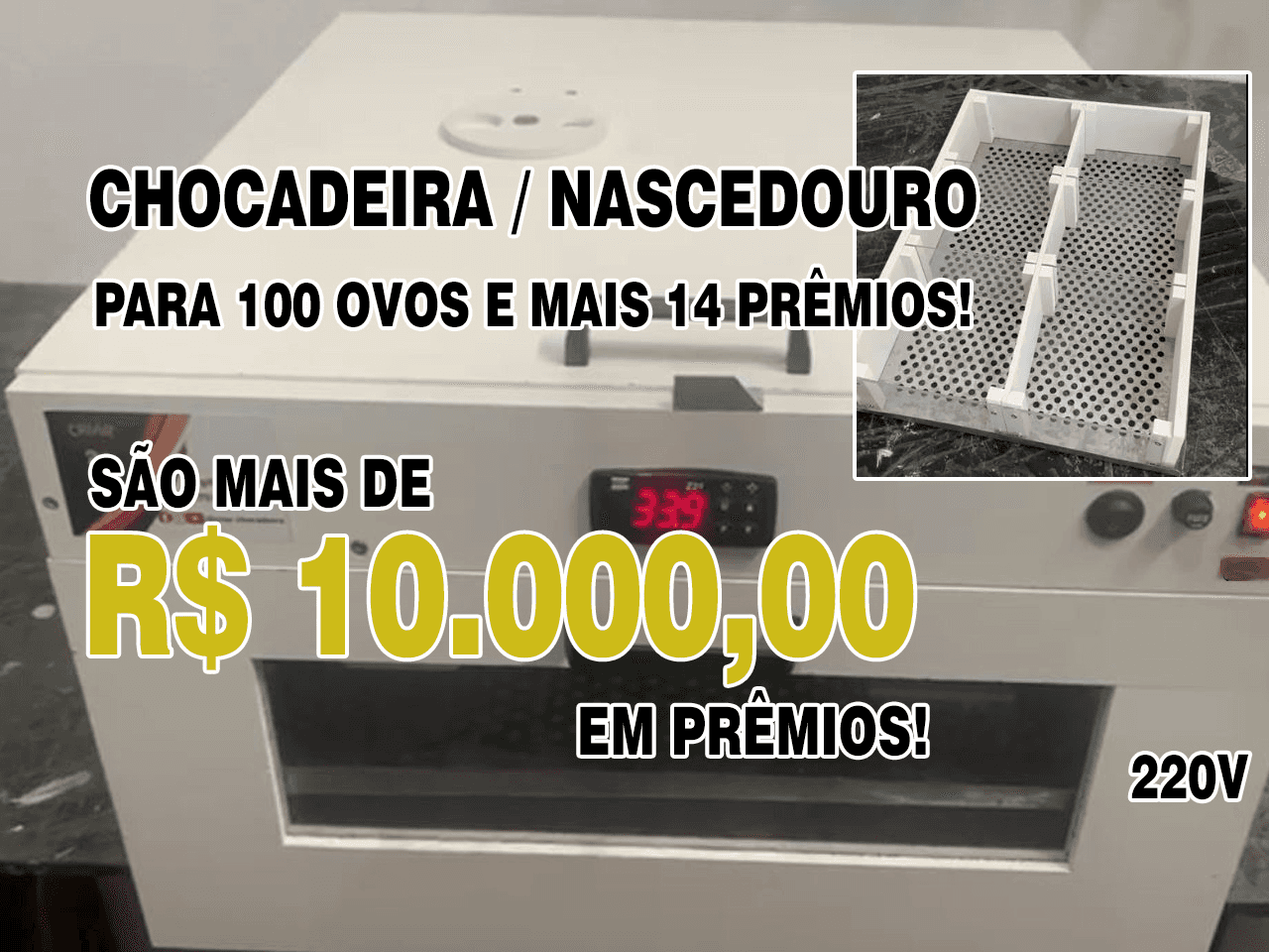 1ª imagem da campanha