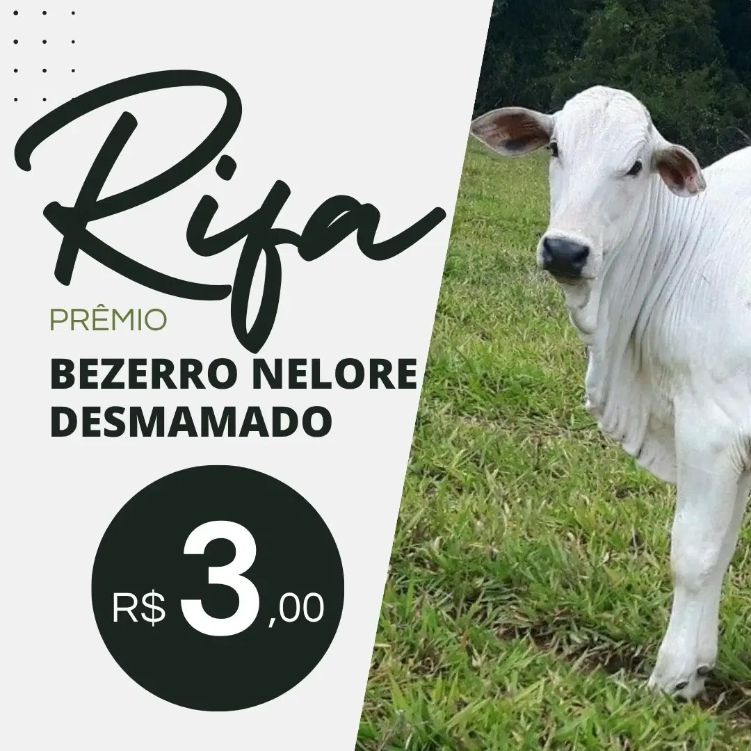 1ª imagem da campanha