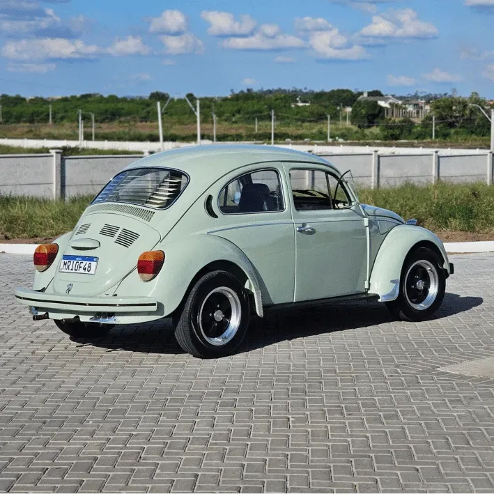 RIFINHA FUSCA VERDE