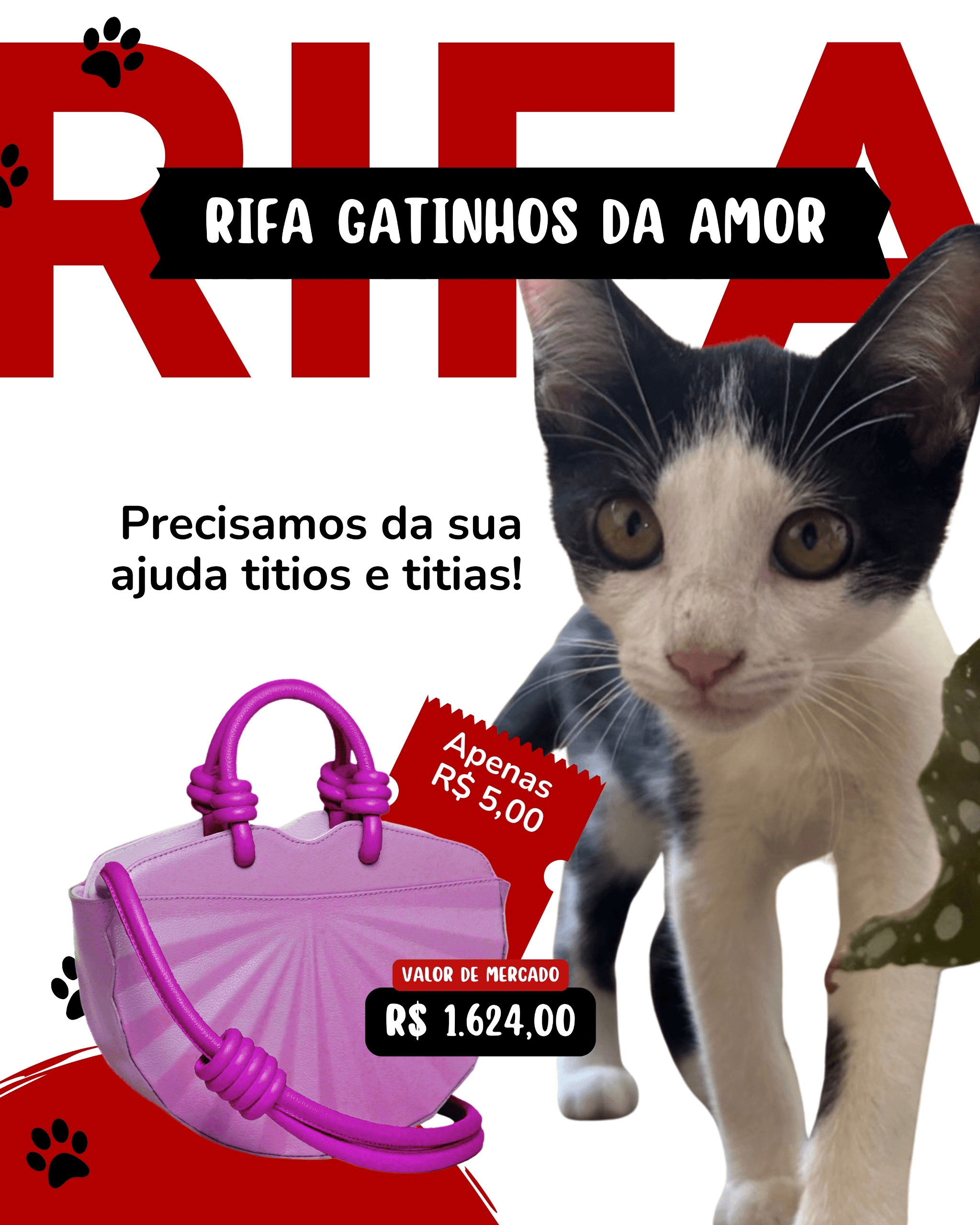 AJUDA PARA OS GATINHOS DA AMOR
