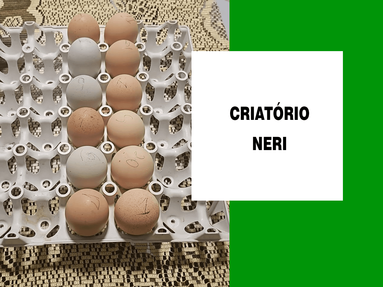 12ª imagem da campanha