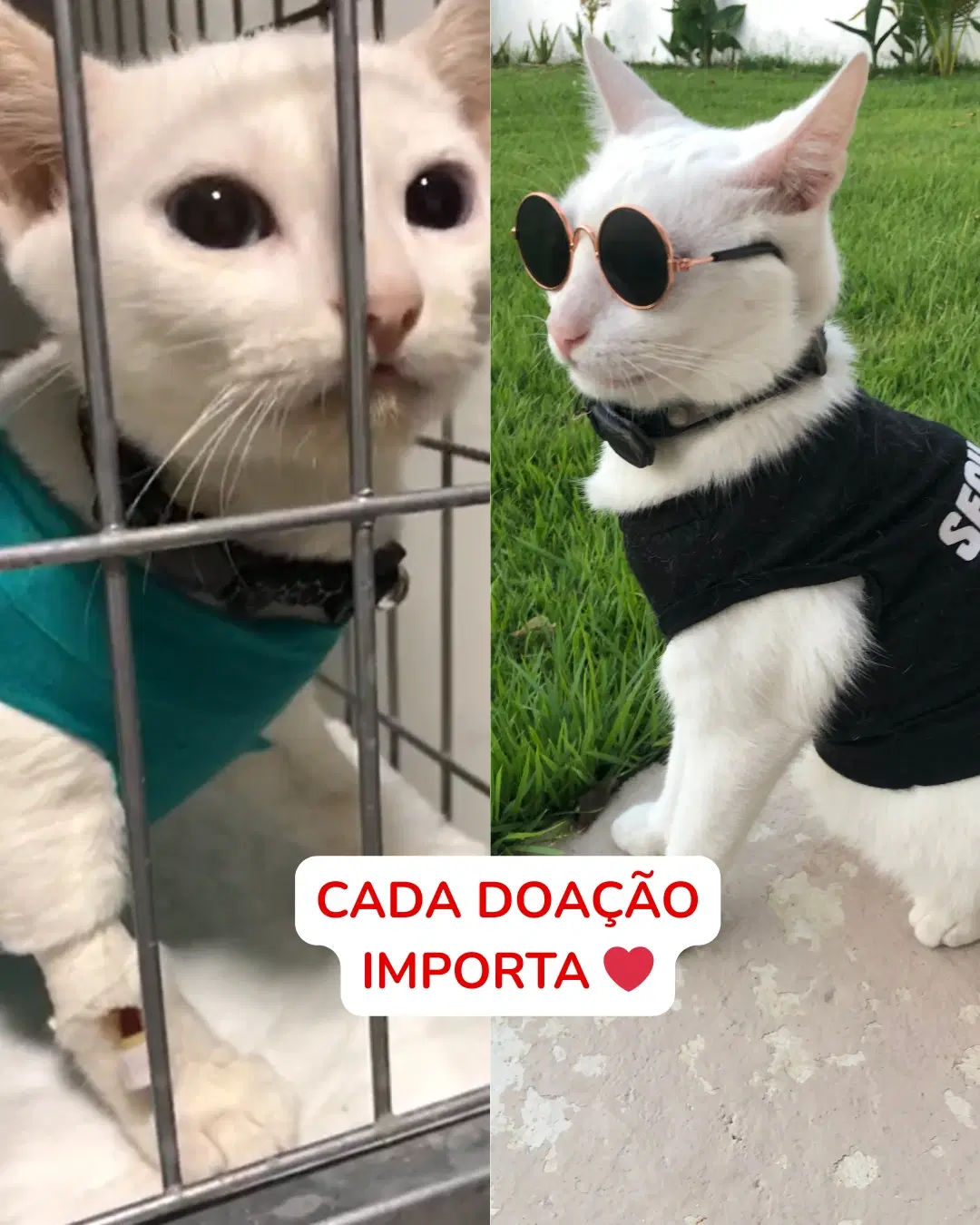 3ª imagem da campanha
