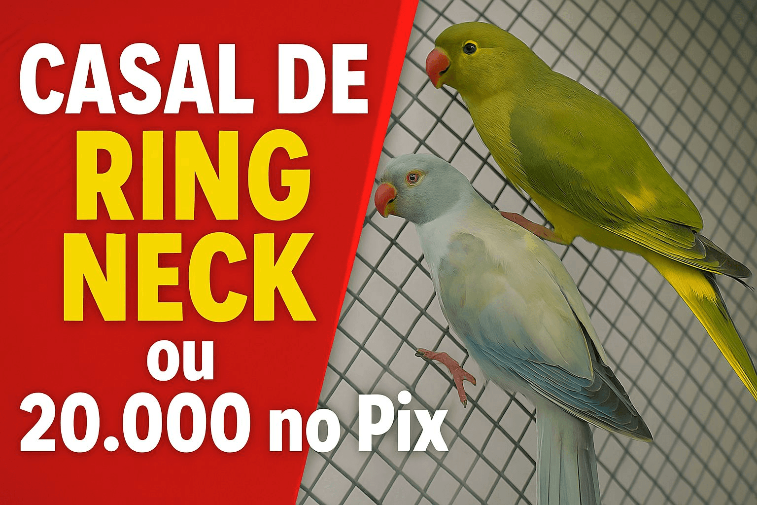 1ª imagem da campanha