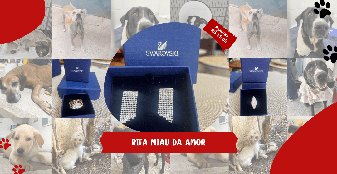 1ª imagem da campanha