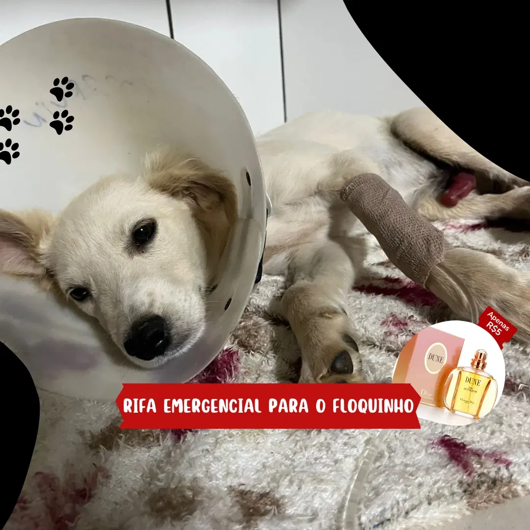 1ª imagem da campanha