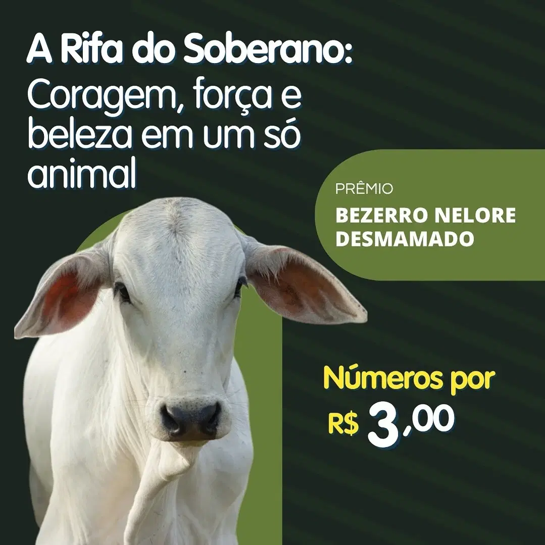 2ª imagem da campanha
